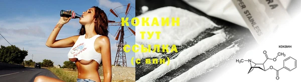 СК Щигры