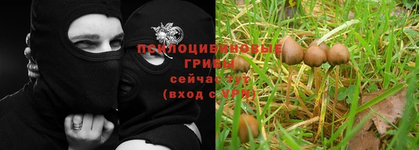 таблы Заволжье