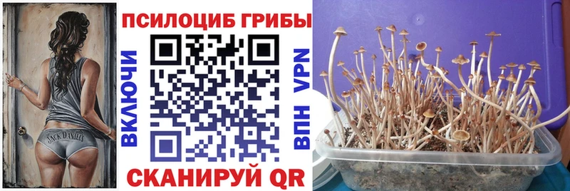 Галлюциногенные грибы прущие грибы  mega tor  Светогорск 